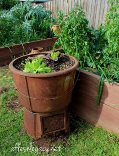 
                    
                        Up-cycled garden pot to grow salad ingredients
                    
                