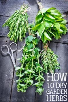 
                    
                        A step-by-step tutorial for How to Dry Garden Herbs. I can’t believe how easy it is! I might even package some up in cute jars for holiday gifts.
                    
                