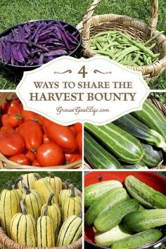 
                        
                            What do you do after you have preserved all the harvest that you can and the garden is still producing? Even when you take the time to try to estimate how many plants to grow for fresh produce and enough to preserve, often times there is a bumper crop of one thing or another. Here are some ways to share the harvest bounty instead of tossing the extras into the compost bin.
                        
                    