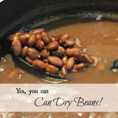 
                    
                        Yes, You Can Can Dry Beans
                    
                