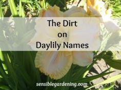 
                    
                        The Dirt on Daylily Names. Grow a family named garden! with Sensible Gardening
                    
                