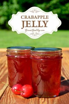 
                    
                        Transform the tart flavor of crabapples into a delicious homemade crabapple jelly. Crabapples have enough natural pectin, so no additional pectin is needed for this crabapple jelly recipe.
                    
                
