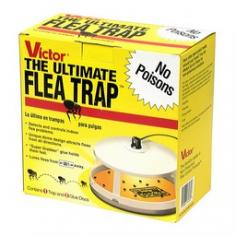 Shop for Outdoors at The Home Depot. Control fleas without having to spray your house with harmful chemicals, or putting chemicals on your pet with this powerful flea killer. The Victor Ultimate Flea Trap monitors and controls flea infestations. The features of this patented design, produce a high efficiency trap that allows you to eliminate your flea problem without spraying synthetic chemicals. Lured in by the trap s color, the heat and light from the trap's light bulb, and the sweet odor of the bait, inserted in the specially formulated sticky glue disc, fleas don t stand a chance. Our flea traps let pet owners see results. The non-poisonous and odorless flea killer trap enables safe placement around children and pets and comes fully assembled and ready to use. Ultimate Flea Trap Refills are also available. Adult Fleas use heat to find a warm-blooded host, which then allows them to develop and reproduce. By simulating the warmth of the host, the Victor Ultimate Flea Trap attracts fleas from where they live and hide. Use the Ultimate Flea Trap flea killer year round as an early detection device. The Ultimate Flea Trap detects and controls indoor flea problems with a 93% catch rate as well as lures fleas out of upholstery and carpeting from up to 30ft away. You do not have to use harmful chemicals in your flea killer, possibly putting your pet at the risk of adverse health effects. Using the Ultimate Flea Trap, you can rest easy knowing fleas are being eliminated without using synthetic chemicals.