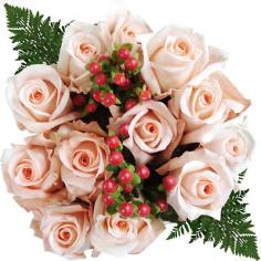 Please read all Shipping Information below before placing your order. Accented with filler and green, these 5 elegant pink rose bouquets each feature 24 stems for a beautiful pop of color. Each stem is a dramatic 40cm to 50cm long. Product Features: 5 handcrafted arrangements, each with 24 stems of pink roses, filler and green Each stem is 40cm to 50cm in length Includes a flower food sachet and care instruction card (Model RO24BQT5PNK) Please note that the choice of varieties is at the discretion of the farm. Care Instructions Before the flowers were shipped, they were prepared for their journey with proper hydration methods; if the flowers appear sleepy and thirsty, it is normal, just follow the simple steps below and the flowers will bloom Remove flowers from box by cutting any straps and also remove all paper and plastic packaging or water tubes Fill your vase with fresh, cool water to the desired level and add flower food according to the package Cut stems diagonally under running water with sharp scissors or knife Immediately after cutting, place the stems in the prepared vase and arrange accordingly Keep flowers away from direct sunlight, drafts or excessive heat Change water daily; every 1 to 2 days, be sure to re-cut the stems repeating the steps above to maximize the life and beauty of your flowers Shipping Terms For your wedding or special event, we recommend that you arrange to have your flower arrangement delivered on the day of or 1 day prior to the actual event For a Saturday event your flowers should be delivered on Friday BJ's uses FedEx Priority delivery service; all deliveries should arrive by 5:00 p.m. on your chosen delivery date and your flowers will most likely be delivered before 10:30 a.m. Delivery time depends on servi