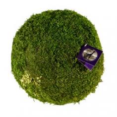 Sheet moss ball. Ideal for natural weddings, special events, and home decor. These balls are perfect for moss garden or as moss decor for green wedding. Available in fresh green color. Measures 4" diameter.