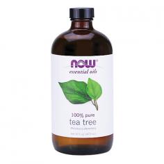 Tea Tree Oil has been a part of Australia's Aboriginal culture for thousands of years based on its powerful cleansing properties. Today, it is commonly used in a number of cosmetic and beauty applications. NOW Tea Tree Oil is 100% pure, steam-distilled from the leaves of Melaleuca alternifolia, and mixes well with many other essential oils. Fun fact: During World War II, Australian cutters and producers of tea tree oil were exempt from military service until enough of this precious essential oil was accumulated for use in first-aid kits. Well-known for its antiseptic and germicidal properties, tea tree oil has been used therapeutically by the aboriginal people of Australia for centuries. Named by Captain Cook's crew, it was introduced to Europe around 1927. During World War II, Australian soldiers carried tea tree oil in their first-aid kits as a treatment for skin injuries. Even though tea tree oil has a long history of use therapeutically, it is a relatively new addition to aromatherapy. Despite being the new kid on the block, tea tree oil has become a staple for many aromatherapists around the world because of its versatility and wide-reaching benefits. Mixes well with: Basil, bergamot, citronella, clary sage, clove, eucalyptus, geranium, ginger, juniper, lavender, lemon, marjoram, myrrh, nutmeg, oregano, peppermint, pine, rosemary, rosewood, tangerine, tea tree, thyme, and ylang ylang. Extraction method: Steam or water distillation. Parts used: Leaves and twigs.