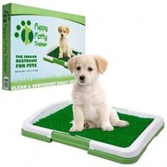 3-layer filter system. Emits fresh odor-resistant, organic scent. Perfect for patios and indoor use. So easy to clean, just rinse with soapy water. Dimensions: 18.5L x 13.4W x 2.17H inches. The Puppy Potty Trainer - The Indoor Restroom for Pets mat and tray system gives dogs a place to relieve themselves when they can't go outside. The ingenious mat is made of an antimicrobial and odor-resistant artificial turf that gives off an organic scent, attracting dogs so they can be taught quickly that it is an acceptable spot for relief. The mat sits on a plastic insert which allows liquid to drain into the locking tray, which makes clean up a wiz. About Trademark Global Inc. Located in Lorain, Ohio, Trademark Global offers a vast selection of items for your home and lifestyle. Whether you need automotive products, collectibles, electronics, general merchandise, home and garden items, home decor, house wares, outdoor supplies, sporting goods, tools, or toys, Trademark Global has it at a price you can afford. Decor items and so much more are the hallmark of this company.