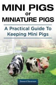 Mini pigs can be adorable and pleasant pets. With their sudden popularity, keeping mini pigs is a concept that has taken pet owners by storm. Whether it is walking them on a leash or carrying them around in a handbag, celebrities like Paris Hilton and Rupert Grint have certainly added a new perspective to it. Micro pigs are the latest celebrity pet craze but is it all as cute and easy as it seems? Not always I am afraid. Mini pigs can grow much larger than what a lot of people think. They can live for up to 18 years so you need to make sure you have a lot of years ahead of you to take care of your pig, as too many pigs are being dropped off at animal care centers. Mini pigs need a lot more attention than the usual farm pigs and some mini pigs can become aggressive if not cared for properly. If well looked after, mini pigs are mostly calm and loving animals, once they have bonded with you. They are intellectual animals so you can train them. They love to cuddle, and get along great with children and almost all other pets but only if you give them the right education from the start. Having a miniature pig is a big responsibility You need to understand what the pig needs to become a happy pig. If you understand mini pigs and you properly care for them, you can become a good piggy parent. This book will give you the information you need to make your pig happy and to make you a happy pig owner. I hope you will have as much fun with your pigs as I have with mine Covered in this book: - Different types of mini pigs - How big do they get? - Before you buy - Knowing your facts - Checklist - House breaking - Leash training - Grooming - Feeding - Toys and recreation - Health - Daily care - Safety. and much more.