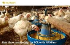 NAVFarm is an effective livestock management software used for Accounting, Tracking Sales, Farming, Purchases, Expenses, Feed Formulation, and Feed Production.