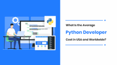 Do you want to hire dedicated Python developers? Then, first, check out the cost of hiring Python developers in the USA and worldwide. 