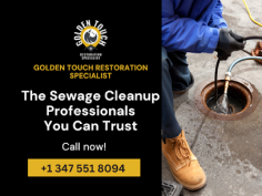 Golden Touch Restoration is a sewage cleaning company that provides expert cleaning services for all types of sewers in New York City. Our team of experienced professionals can take on any sewer cleaning task, big or small, and ensure that your sewer is clean and free from all traces of debris.
 Product Features:
 - We specialize in sewer cleaning services for all types of environments.
 - We use the latest technology and equipment to get your sewer clean fast.
 - We have a team of experienced professionals who are committed to providing you with top quality service.
 - We offer a wide range of affordable options to fit just about anyone's budget.
 - We always offer a 100% satisfaction guarantee on all of our services.
 - We are licensed and insured, so you can be sure that you're hiring the best possible company.

Visit here: https://www.goldentouchrestorationspecialist.com/sewage-cleaning-services-nyc/