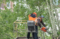 Urban Tree Services is a well-established, family-owned, and operated business that specializes in tree removal services in the Hills District. We are highly trained in trimming, removing, and maintaining the health of trees of all types and sizes. Our team provides superior customer service and top-quality tree stump grinding services in Penrith at competitive prices. We are fully insured, licensed, and in full compliance with Australian standards. Please visit our website for more details!.
https://sydneyurbantreeservices.com.au/tree-removal-hills-district/