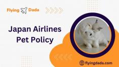 https://flyingdada.com/blogs/japan-airlines-pet-policy